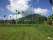 Bán mảnh vườn tặng nhà cấp 4 kiên cố, thôn Châu Mỹ mới ra