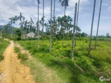 Bán mãnh vườn Hành Dũng - Nghĩa Hành Vườn vuông vức