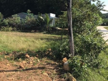 Cần bán đất xã Ninh Tây , tx Ninh Hoà, ngang 18m dài 42m