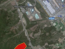 Bán 2,3ha rẫy Ninh Phước, Nam Vân Phong gần HVS 100,000/m2 0979.422.907