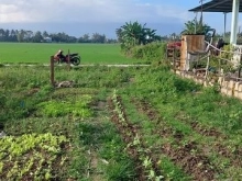 Bán đất sau ủy ban xã ninh phú tx ninh hòa khánh hòa