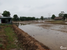 đất vuông vắn full thổ cư 100%diện tích lớn 2000m2