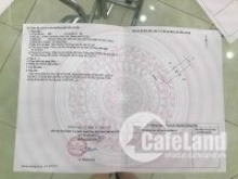 Do gần tết cần tiền nên cần chuyển nhượng lô góc trong 40 lô đất