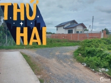 ?chủ gởi nên gần khu flc tông dt.1067.8m2 có 5️0️0️ thổ còn lại cln