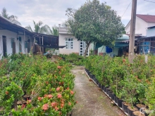 chủ gởi cơ hội cho nhà đầu tư không B.án đất tặng  nhà luôn nhé a.c 