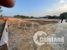 ĐẤT DIỆN TÍCH 538M2, 710M2, 975M2 VÀ 2000M2 TẠI THÔN THẮNG TRÍ, XÃ MINH TRÍ