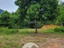 BÁN ĐẤT NGHỈ DƯỠNG, TRANG TRẠI KHU SINH THÁI HỒ ĐỒNG ĐÒ, SÓC SƠN