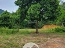 BÁN ĐẤT NGHỈ DƯỠNG, TRANG TRẠI KHU SINH THÁI HỒ ĐỒNG ĐÒ, SÓC SƠN