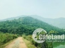 2 LÔ ĐẤT HÀNG VIP, TẠI THÔN LÂM TRƯỜNG, XÃ MINH PHÚ, SÓC SƠN, HÀ NỘI