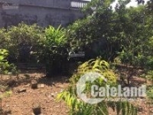 Bán 150m2 đất thôn Phúc Lộc, Cổ Đông, Sơn Tây.