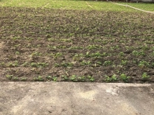  Bán lô đất cách trạm y tế Tịnh Ấn Tây 500m, đất cao ráo, sạch sẽ, nhìn mê luôn