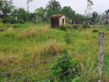 SỞ HỮU NHANH VƯỜN TỊNH BÌNH -VỊ TRÍ ĐẸP, GIÁ ĐẦU TƯ uy tín nhất tt