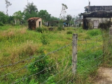 ️ Quỹ đất Vườn diện tích lớn,  ĐẤT VƯỜN TỊNH BÌNH