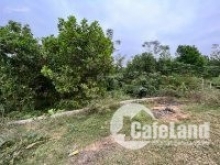 Lô đất còn sót lại tại Cố Đụng, Tiến Xuân