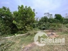 Lô đất còn sót lại tại Cố Đụng, Tiến Xuân, Hà Nội