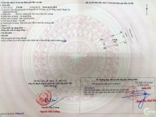 TDC đất đấu giá Tứ Hiệp, em còn 5 lô cực đẹp