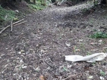 BÁN NỀN  5×40 THỔ 100%  CÁCH CHỢ MỸ QUÝ TRƯỜNG HỌC 6KM