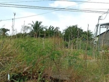 Chủ cần bán gấp nền Đường Lò Rèn