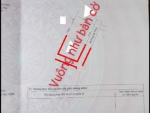 Lô đất siêu rẻ hót nhất tại hưng yên với diện tích rộng