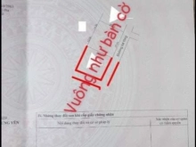 Lô đất siêu rẻ hót nhất tại hưng yên với diện tích rộng