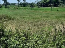 Hơn 1.500m2 đất tại xã Nghĩa Dũng trong đó 100m2 đất ở cho xây tự do đa dạng