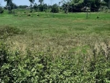 Hơn 1.500m2 đất tại xã Nghĩa Dũng trong đó 100m2 đất ở cho xây tự do đa dạng