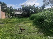 Đừng chờ đợi hãy mua đất, hãy mua đất rồi hãy chờ đợi "