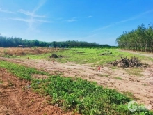 BÁN ĐẤT NINH THẠNH TÂY NINH 14x25m