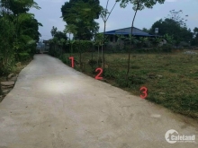 Em ra lô đất trục chính Ngõ 05 Tân Cương