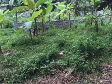 Cần bán đất tại xã thái long, tuyên quang cách quốc lộ 2 khoảng 300m