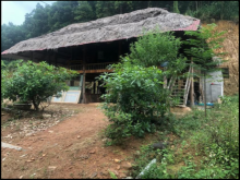 Lô đấ trang trại cực khủng với giá cực rẻ thương lượng chính chủ