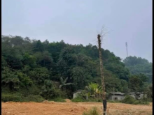 Lô đất chính chủ cần bán nhanh giá rẻ