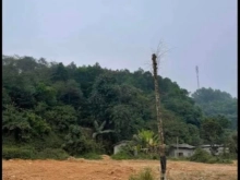 Lô đất chính chủ cần bán nhanh giá rẻ