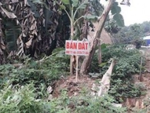 Lô đất cần bán gấp giá cực rẻ liên hệ ngay chính chủ