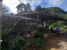 Bán trang trại tại Yên Bái, dòng tiền thu về mỗi năm 400tr Yên Bái