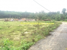 Đất Bảo Đại nóng lên từng giờ, sinh lời từng ngày.