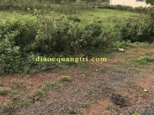 Đất Trung tâm Thị Trấn Ái Tử, Quảng Trị.