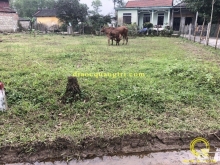 Bán Lô Đất Sát Bên TP Đông Hà. Triệu Giang, Triệu Phong.