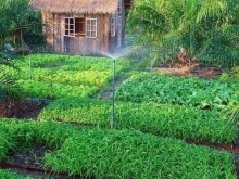 Chính chủ cần bán vườn tại nghĩa hiệp dt 1150m có 200 đất ở ưng xây gì xây