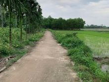 Bhk Nghĩa Điền hàng hiếm khách ơi chỉ bung trong tuàn này