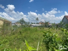  Bán vườn nhỏ nhỏ Thôn Phú Sơn - Nghĩa Kỳ mới nhất và rẻ trên tt