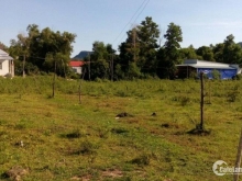 Khách du lịch trong ngoài nước đi qua cửa. Khu đất nằm ngay chợ kinh doanh buôn