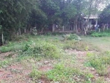 Lô đất hót nóng sốt giá cự rẻ cho ai thiện chí