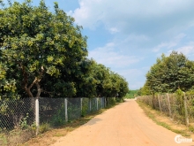 Lô đất rẻ nhất Lạc Đạo – 66m2, Giá tốt cho nhà đầu tư