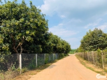 Lô đất rẻ nhất Lạc Đạo – 66m2, Giá tốt cho nhà đầu tư