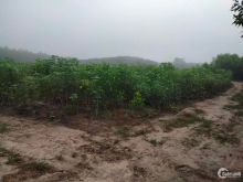 3,3 mẫu .xã Xuân thành,huyện Xuân Lộc.cách tỉnh lộ 766