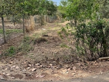 2sao5 suối cao xuân lộc đồng nai cách nhựa chính 100m