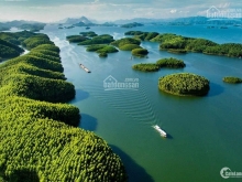 Cần bán lô đất cho nhà đầu tư Thích hợp làm nhà ở lâu dài, làm homestay