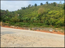 Chỉ với 250tr/sào sở hữ ngay 3 sào đất nông nghiệp mặt tiền