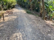 cần bán 3,5 công đất lúa thuộc kinh mười thới xã Tân Thành